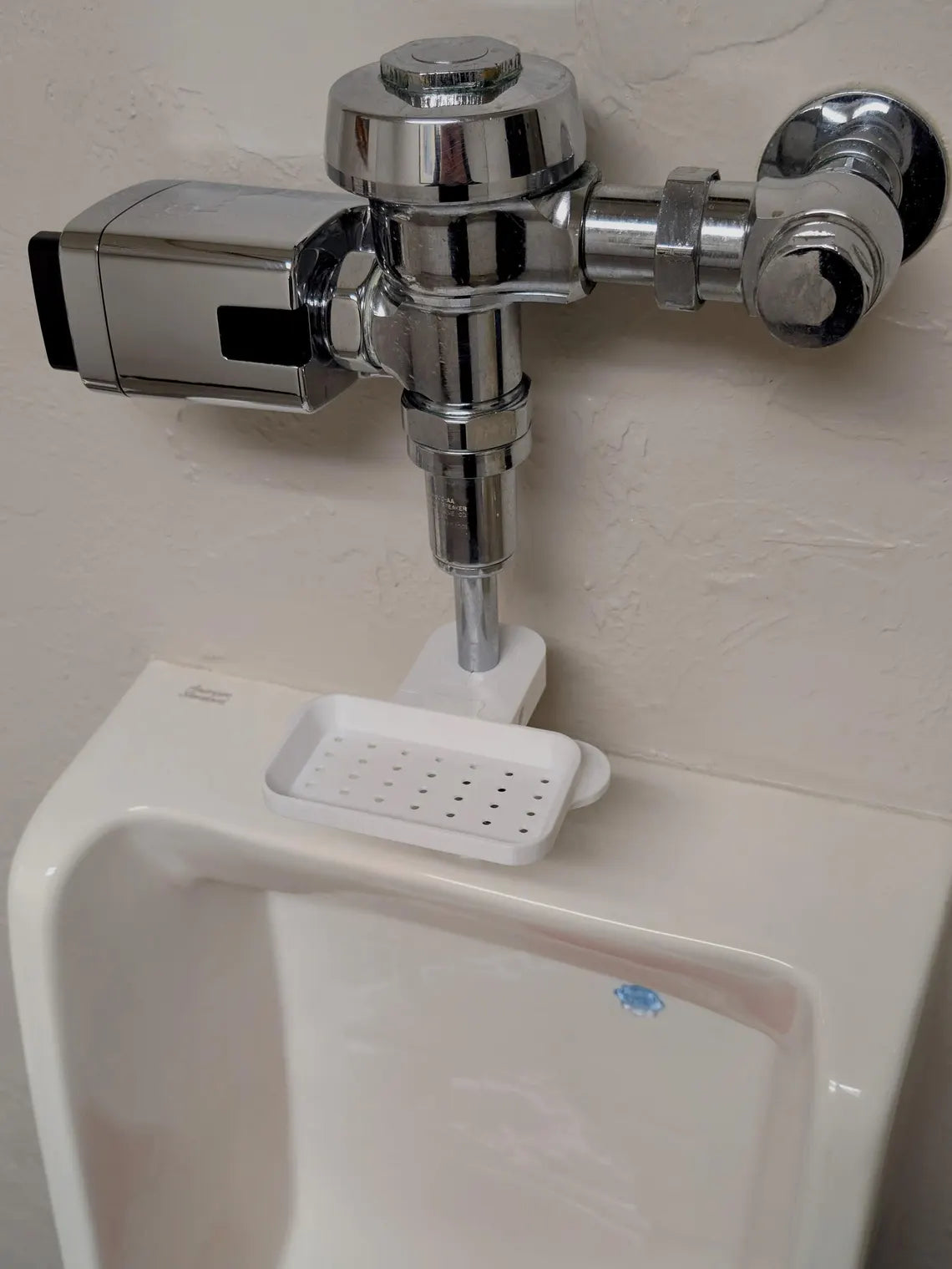 nicotine pouch disposable small