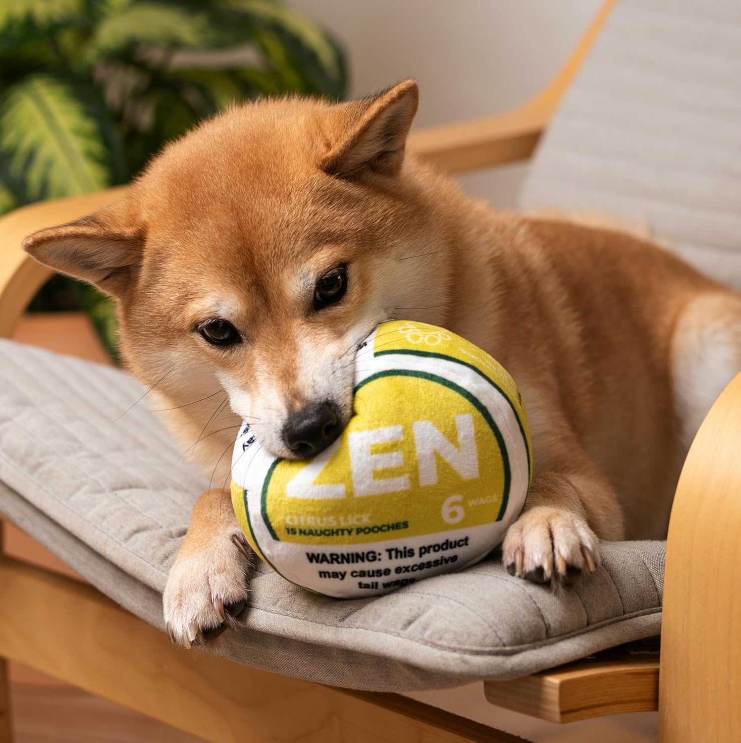 Zen Pupper Deckies Dog Plush Squeaky Toy (Crinkle)