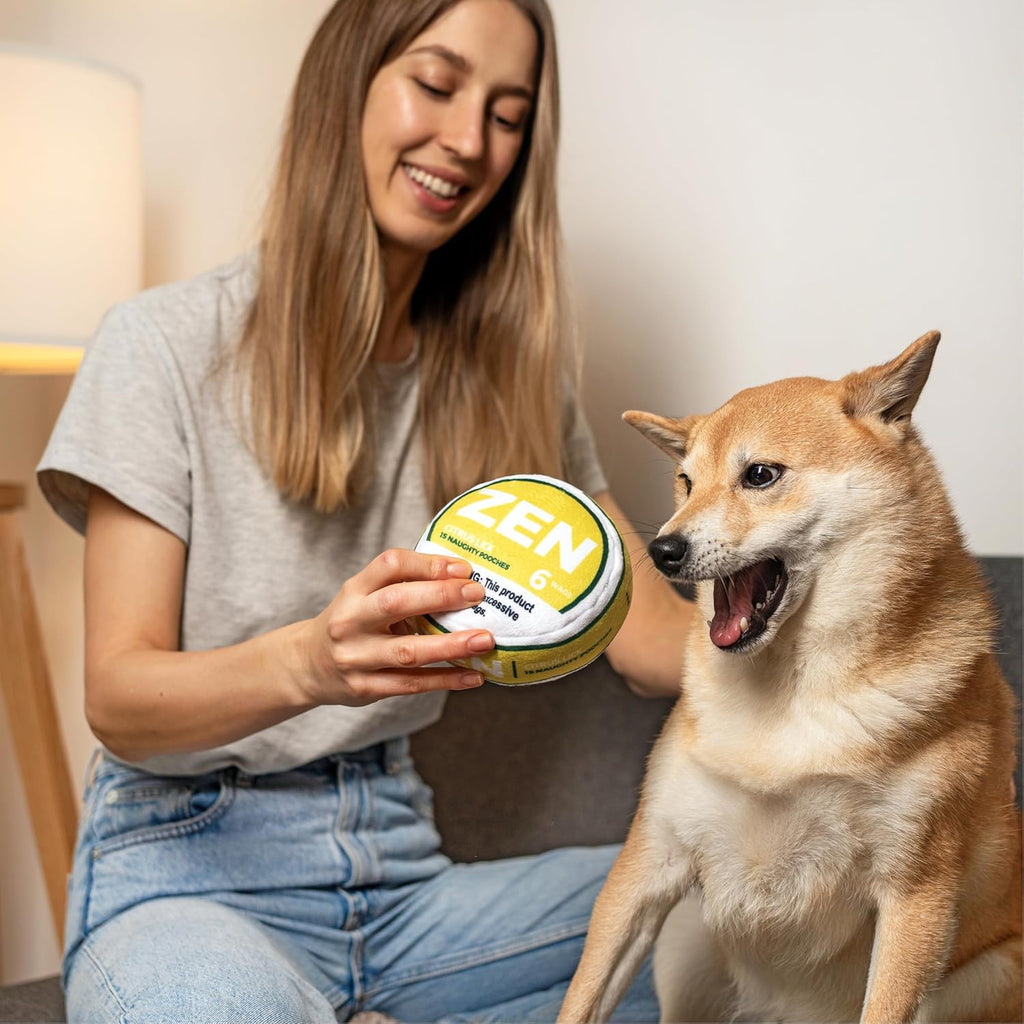 Zen Pupper Deckies Dog Plush Squeaky Toy (Crinkle)